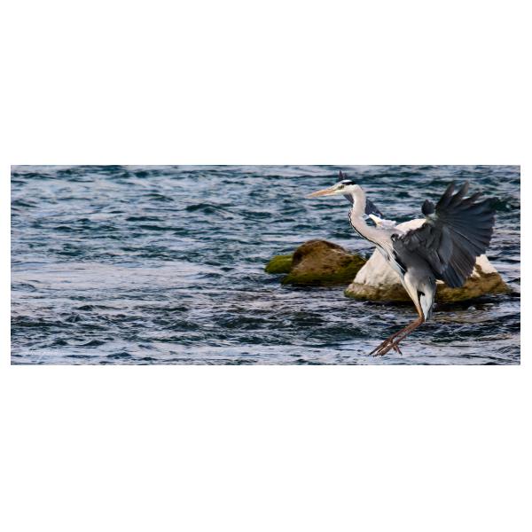 PHOTO84, CLUB, 84 , LUBERON